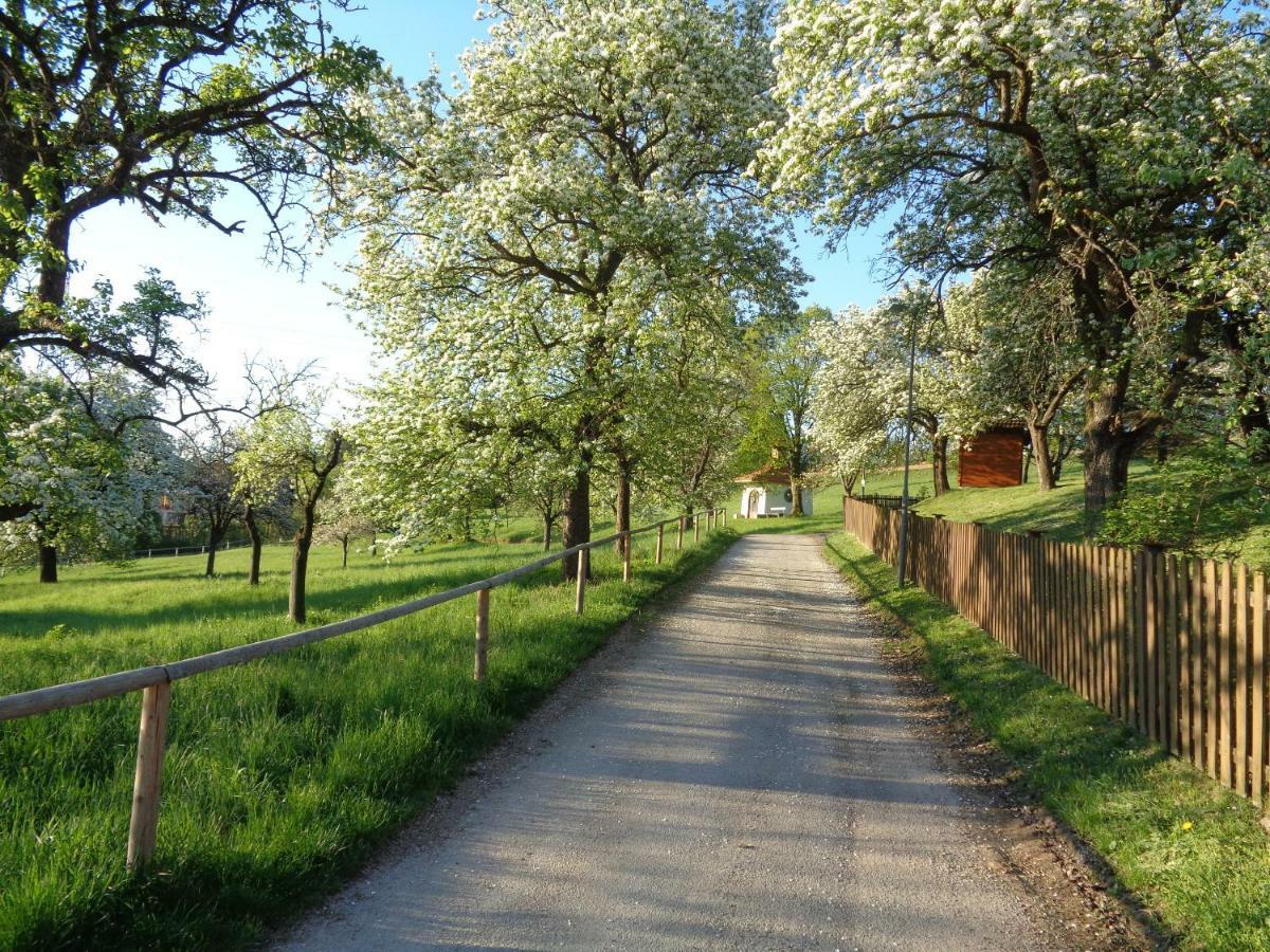 Apartments Himmelreich Ternitz Kültér fotó